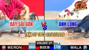 Trận 37 CPC3 23/1/2026 - Anh Long 4G Quá Hừng Đi 3 Con Ăn Độ Cả 3