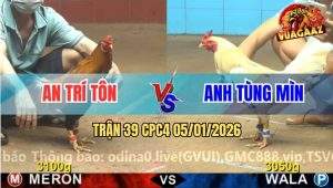 Trận 39 CPC4 5/1/2026 - Bướm Anh Tùng Hạ Điều Khi Chỉ Còn Một Hơi Tàn