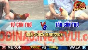 Trận 4 CPC5 9/1/2026 - Bướm Anh Tấn Nhảy Hụt Chân Bị Que Sút Hư Tỳ