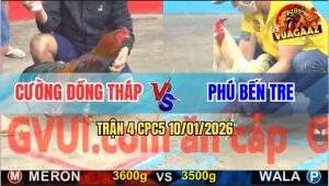 Trận 4 CPC5 10/1/2026 - Bướm Trừng Phạt Sai Lầm Anh Nu Đá Điều Lìa Đời