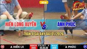 Trận 4 GALAXY 4/1/2026 - Camelo Chú Hiển Đá Que Lộn Vòng Chết Tươi