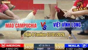 Trận 4 TonHon 7/1/2026 - Điều Anh Việt Đâm Chuối CPC Chín Rụng Cây