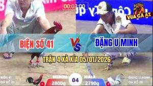 Trận 4 Xà Xía 5/1/2026 - Bướm Anh Đặng Dập Như Cái Máy Khâu