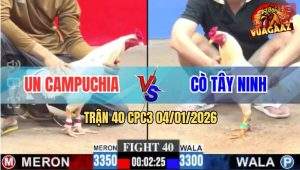 Trận 40 CPC3 4/1/2026 - Bướm Anh Un CPC Đá 1 Tăng Úa Ra Si Rô Hết Sửa