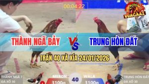 Trận 40 Xà Xía 24/1/2026 - Điều Bông So So Đâm Cây Lưng Que Ngã Ngữa