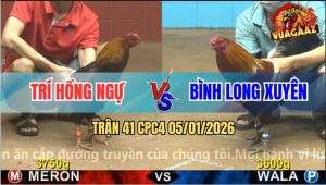 Trận 41 CPC4 5/1/2026 - Phút 90 Gà Que Anh Trí Hết Pin Tốc Chạy