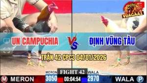 Trận 42 CPC3 4/1/2026 - Úa Đá Tang Ăn 5, Điều Để Lại Cây Lưng Lật Xe