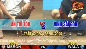 Trận 42 CPC4 5/1/2026 - Gà Cú Anh An Đá Chân Chốt Hạ Điều Nằm Bẹp Dí