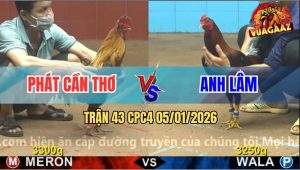 Trận 43 CPC4 5/1/2026 - Khét Anh Phát Đá Chân Nào Điều Ra Tiền Chân Đó