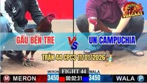 Trận 44 CPC3 11/1/2026 - Điều Tránh Né Trả Lai Ngay Ông Địa Tính Tiền