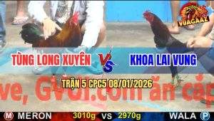 Trận 5 CPC5 9/1/2026 - Điều Mồng Lá Anh Tùng Đâm Cựa Bao Thấm