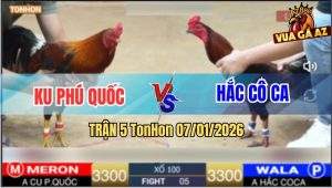 Trận 5 TonHon 7/1/2026 - Điều Anh Ku Đá Gà Anh Hắc Chạy Để Lại Xổ 100