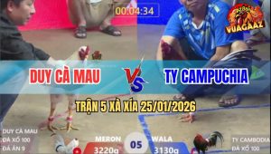 Trận 5 Xà Xía 25/1/2026 - Anh Kiểm Thả Giùm, Cánh Cà Mau Thua Độ 100