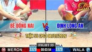 Trận 55 CPC3 8/1/2026 - Gà Cú Tiễn Đối Thủ Lên Đường Ngay Nước Đầu