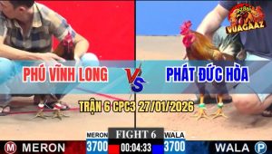 Trận 6 CPC3 27/1/2026 - Vàng Đá Quá Đâm, Anh Phú Bắt Gà Xin Thua Non