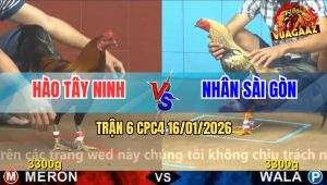 Trận 6 CPC4 16/1/2026 - Que Anh Hào Hít Vô Đâm Chuối Vàng Chạy Bay Bồ