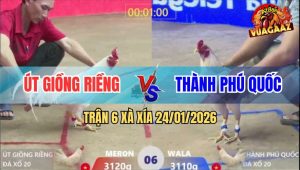 Trận 6 Xà Xía 24/1/2026 - 2 Úa So Cựa Anh Kiểm Lấy Lại Những Gì Đã Mất