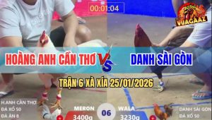 Trận 6 Xà Xía 25/1/2026 - Anh Kiểm Cà Mau Quá Hừng Ra 3 Con Ăn Độ Cả 3