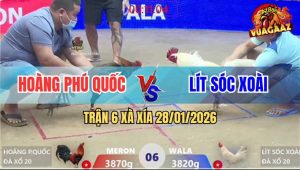 Trận 6 Xà Xía 28/1/2026 - Điều Cọp Anh Hoàng Đán Úa Hoảng Hồn Tốc Chạy