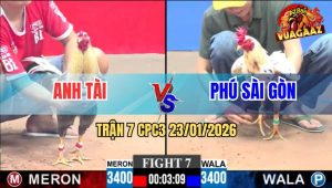 Trận 7 CPC3 23/1/2026 - Xám Chuối Anh Tài Đá Ăn 2 Vẫn Dính Chân Xui