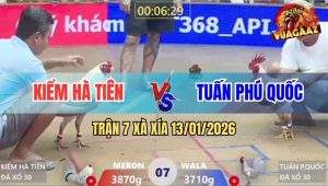 Trận 7 Xà Xía 13/1/2026 - Úa Anh Tuấn Đâm Bướm Tan Tác Sau 1 Mùa Trăng