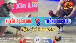 Trận 7 Xà Xía 30/1/2026 - Điều Kém Nửa Ký Sụm Tỳ Vẫn Gồng Ăn Độ Quá Đã