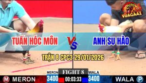 Trận 8 CPC3 29/1/2026 - Điều Chân Xanh Siết Chân Nào Úa Ói Chân Đó