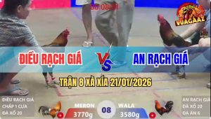 Trận 8 Xà Xía 21/1/2026 - Que Anh Kiểm Chấp Ngông Nhận Ngay Trái Đắng