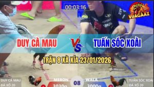 Trận 8 Xà Xía 23/1/2026 - Điều Đá Liên Hoàn Cước, Vàng Té Nằm Bẹp Dí