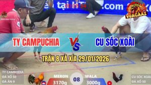 Trận 8 Xà Xía 29/1/2026 - Anh Ty Campuchia Đi 3 Con Thua 1 Cặp Rưỡi
