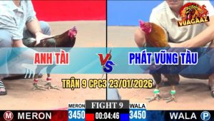 Trận 9 CPC3 23/1/2026 - Gà Xám Anh Tài May Độ, Phút Cuối Đưa AE Về Bờ