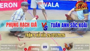 Trận 9 Xà Xía 26/1/2026 - Khét Đuôi Lao Tuấn Anh Đá Úa Bay Bồ La Miệng