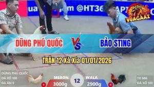 Trận 12 Xà Xía 01/01/2026