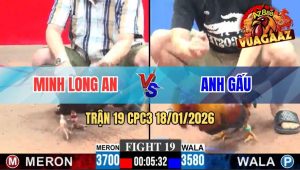 Trận 19 CPC3 18/01/2026