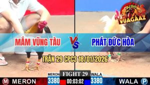 Trận 29 CPC3 18/01/2026