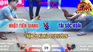 Trận 39 Xà Xía 01/01/2026