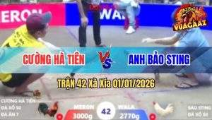 Trận 42 Xà Xía 01/01/2026