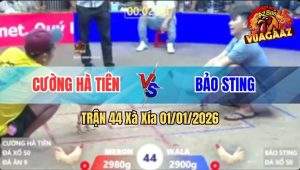 Trận 44 Xà Xía 01/01/2026