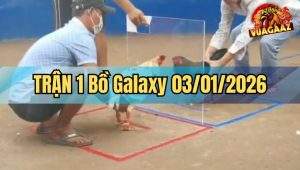Trận 1 Galaxy 03/01/2026