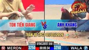 Trận 10 CPC3 01/01/2026