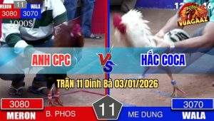 Trận 11 Dinh Bà 03/01/2026