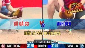 Trận 12 CPC3 01/01/2026
