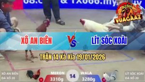 Trận 14 Xà Xía 19/01/2026