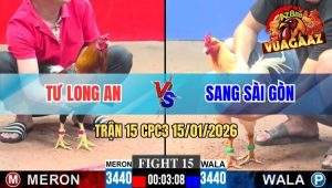 TRẬN 15 CPC3 15/01/2026