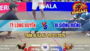 Trận 16 Xà Xía 19/01/2026