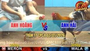 Trận 17 CPC4 03/01/2026