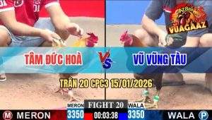 Trận 20 CPC3 15/01/2026