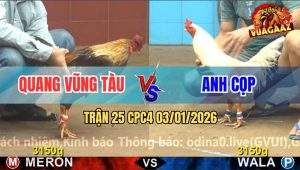 Trận 25 CPC4 03/01/2026