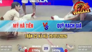 Trận 25 Xà Xía 19/01/2026