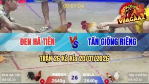 Trận 26 Xà Xía 20/01/2026